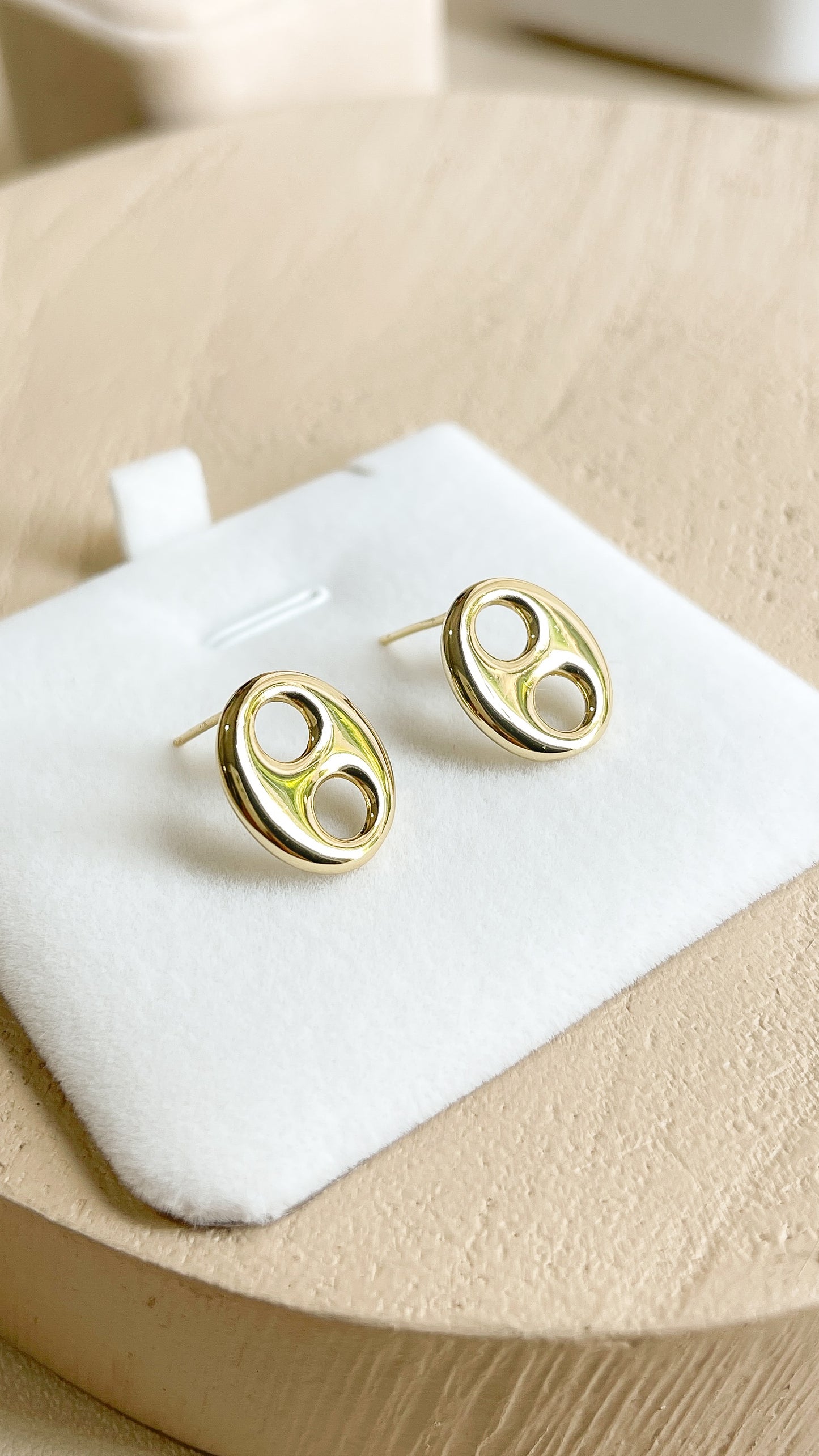 Aretes Chary