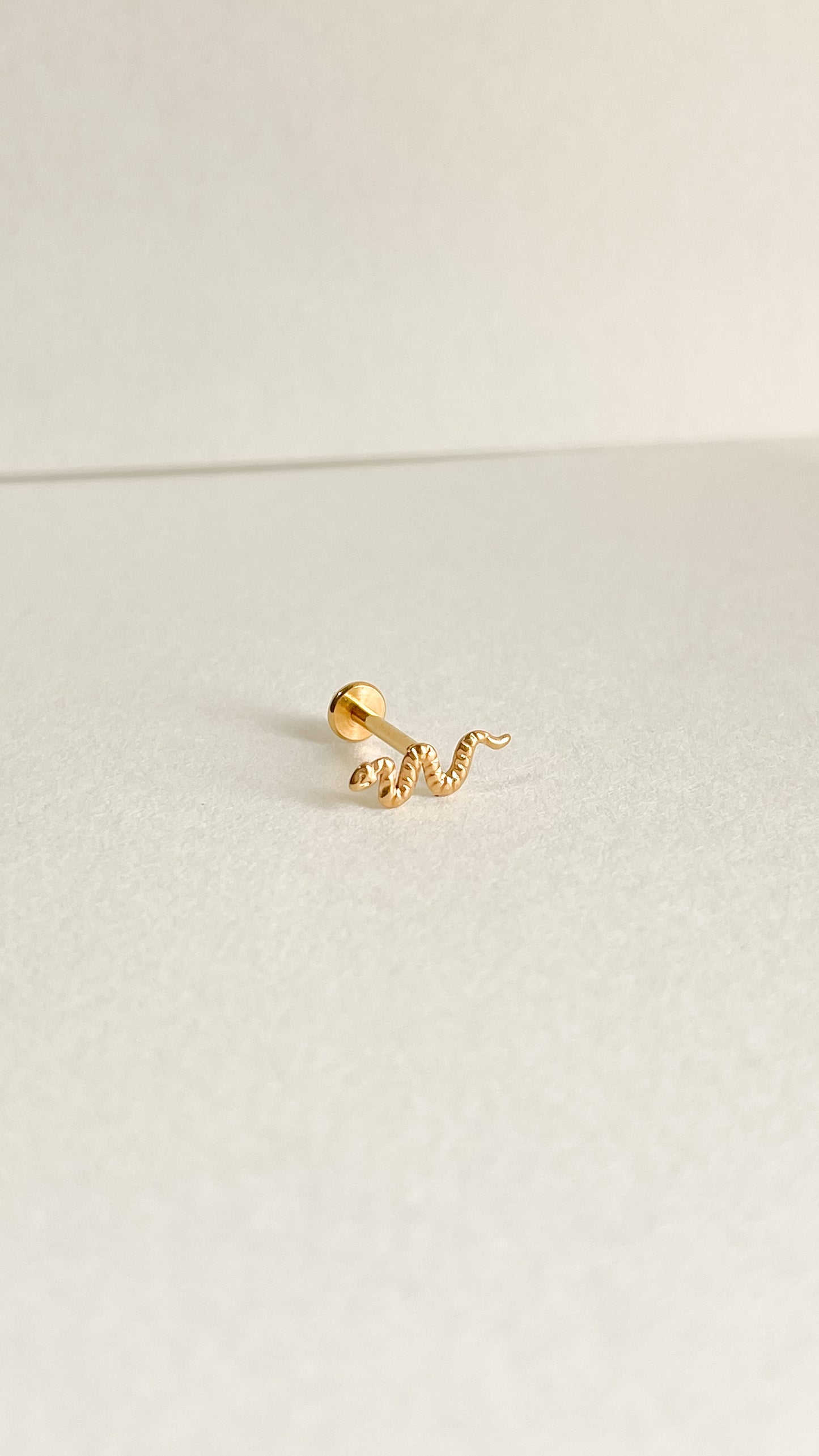 Piercing Snake - Titanio