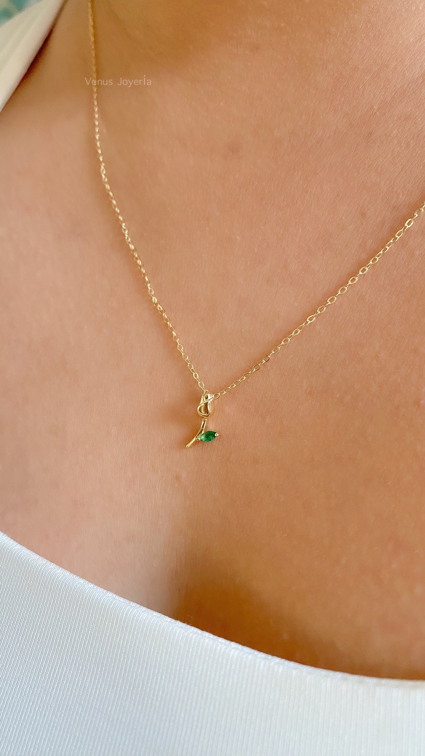 Conjunto Tulipán