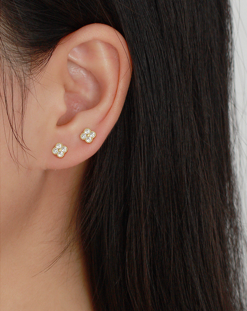 Piercing Ibis