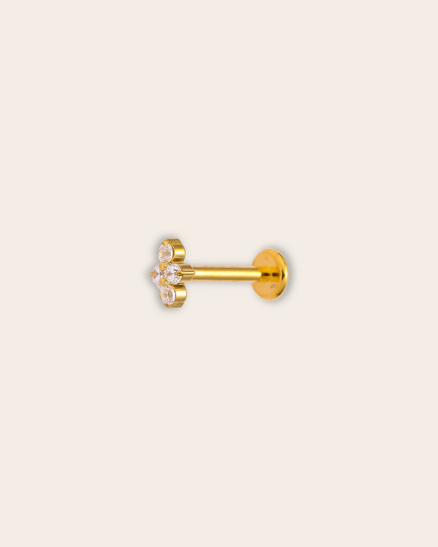 Piercing Anelis-Titanio
