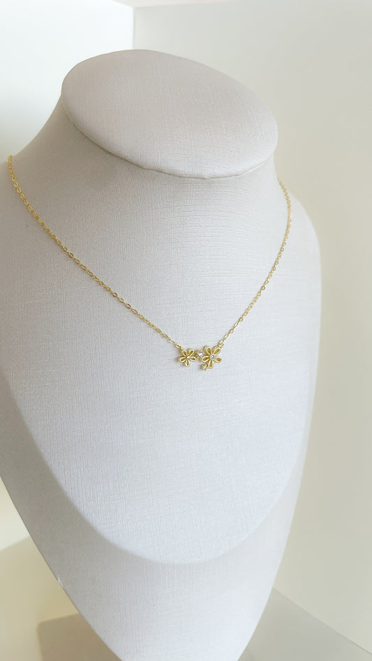 Collar Geranium
