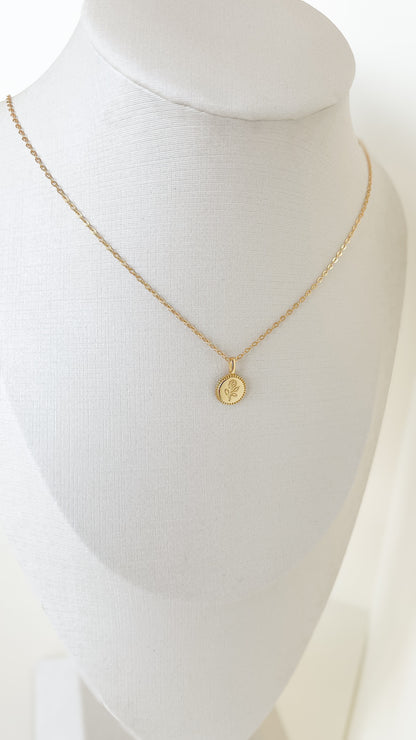 Collar Rose