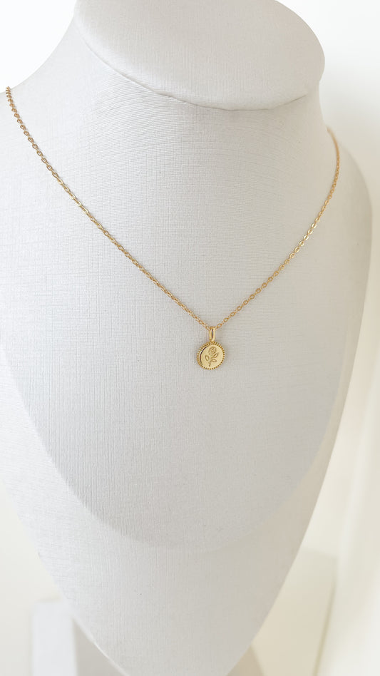 Collar Rose
