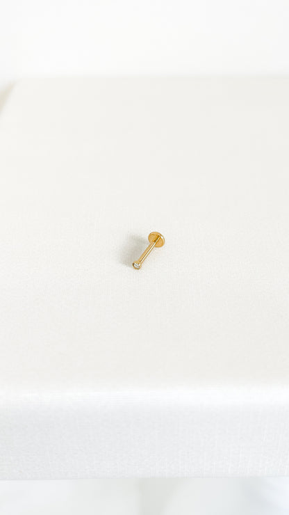 Piercing Lucy-Titanio