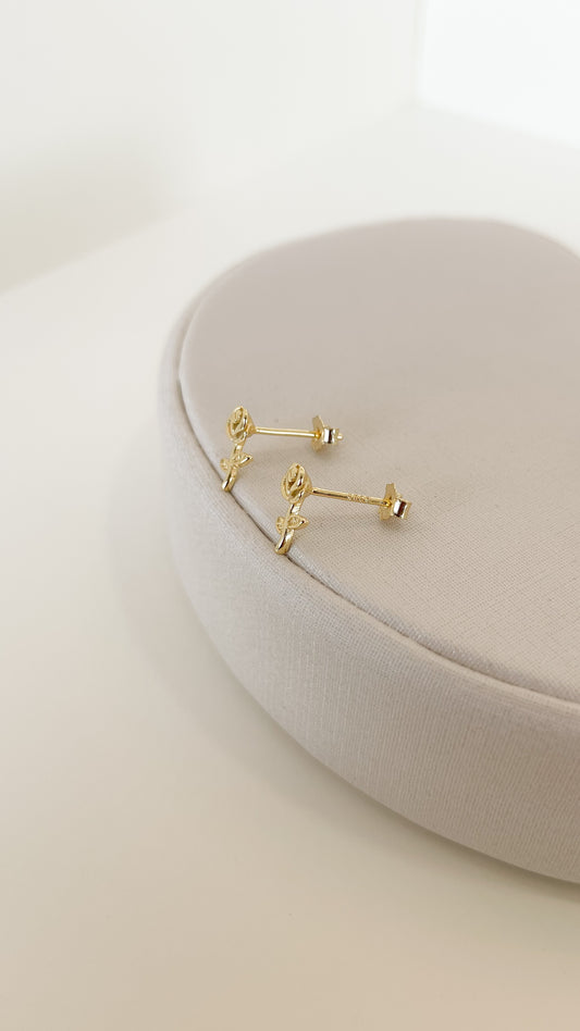 Aretes Rose