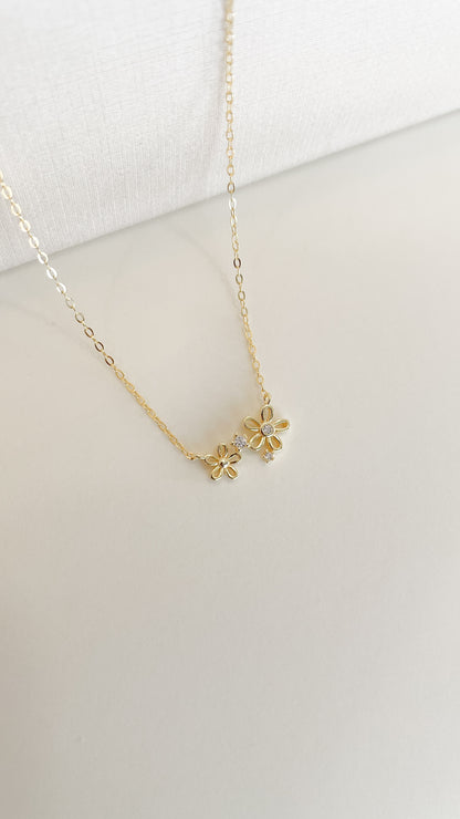 Collar Geranium