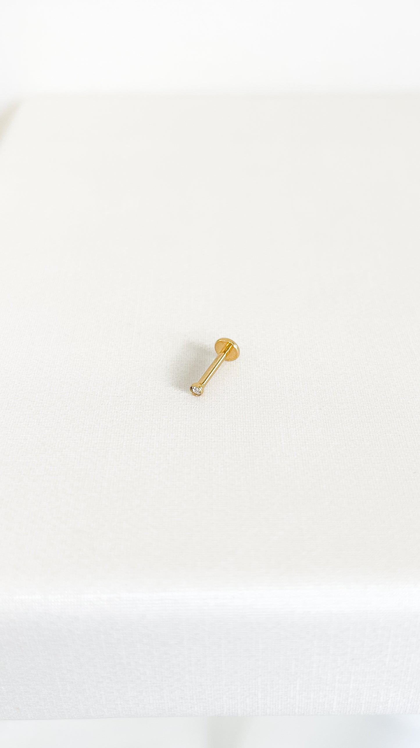 Piercing Lucy-Titanio