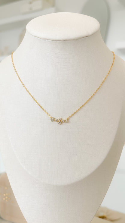 Collar Madly - PB013