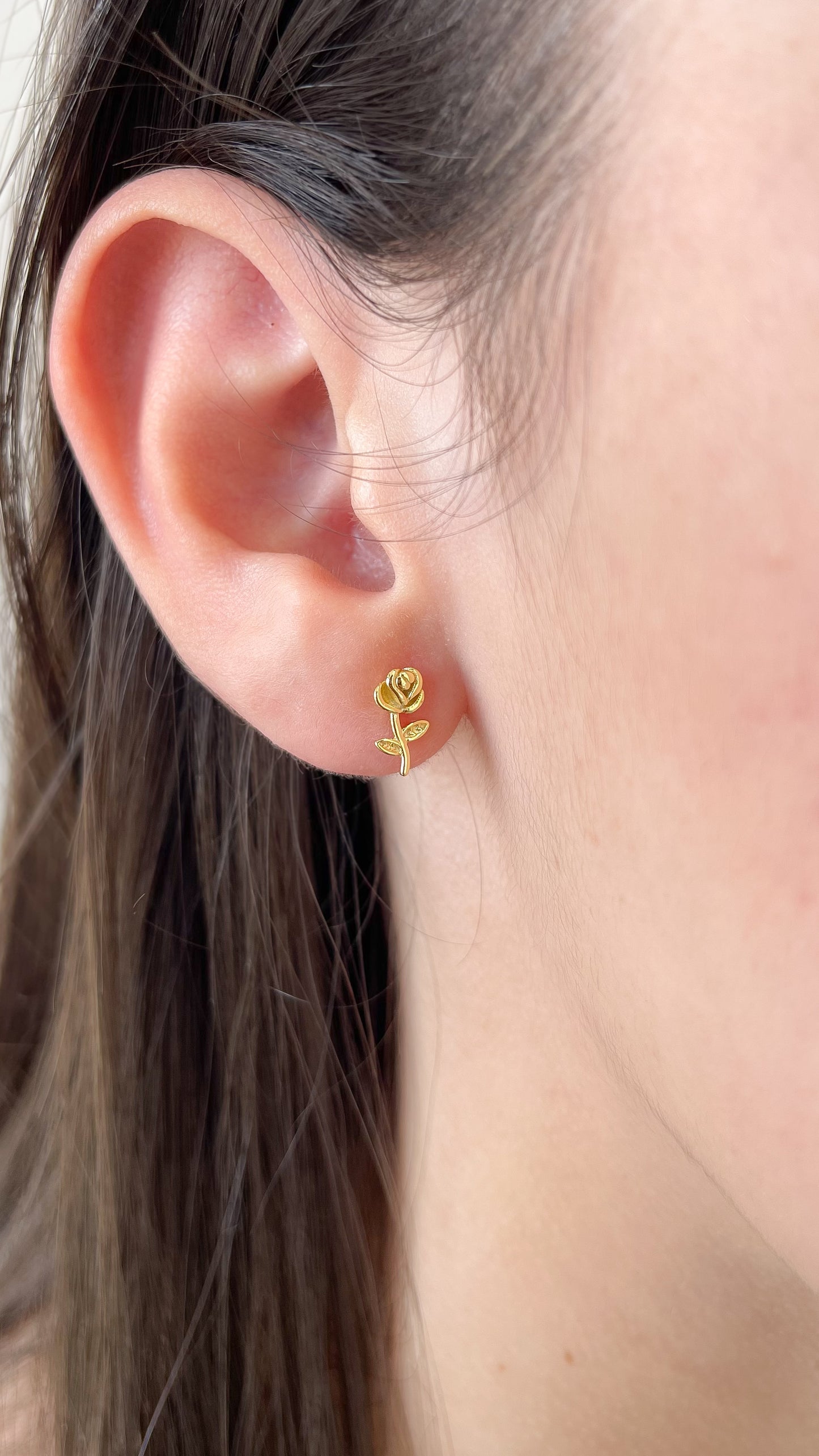 Aretes Rosiels -AR119