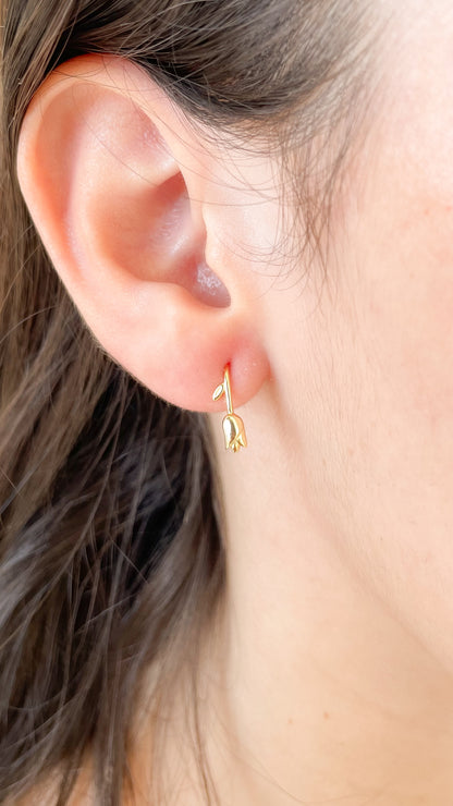 Aretes Tuly