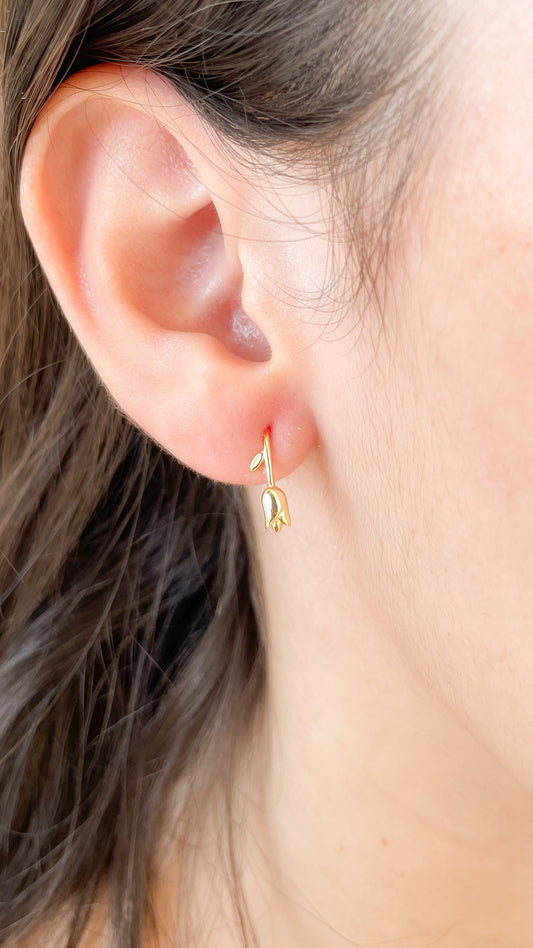Aretes Tuly
