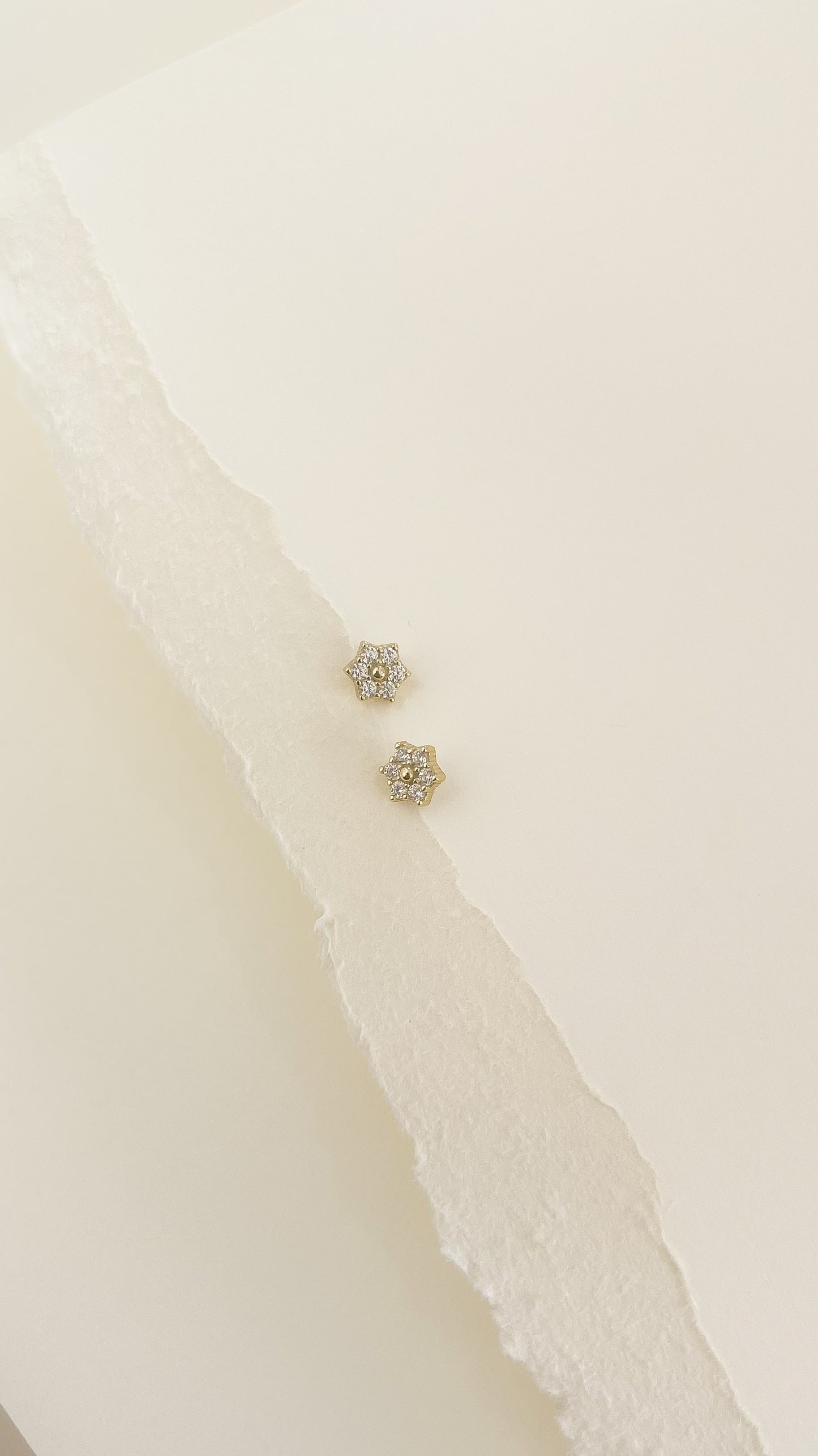 Aretes Victoria - AR113