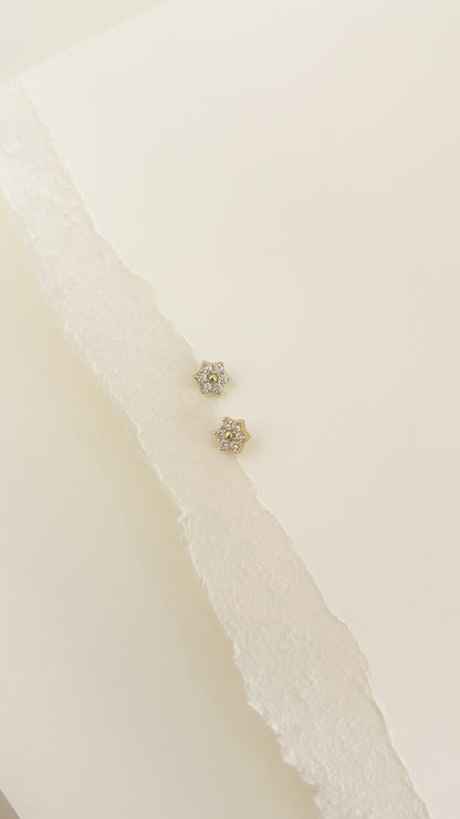 Aretes Victoria - AR113