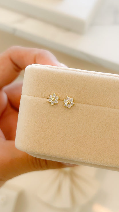 Aretes Victoria - AR113