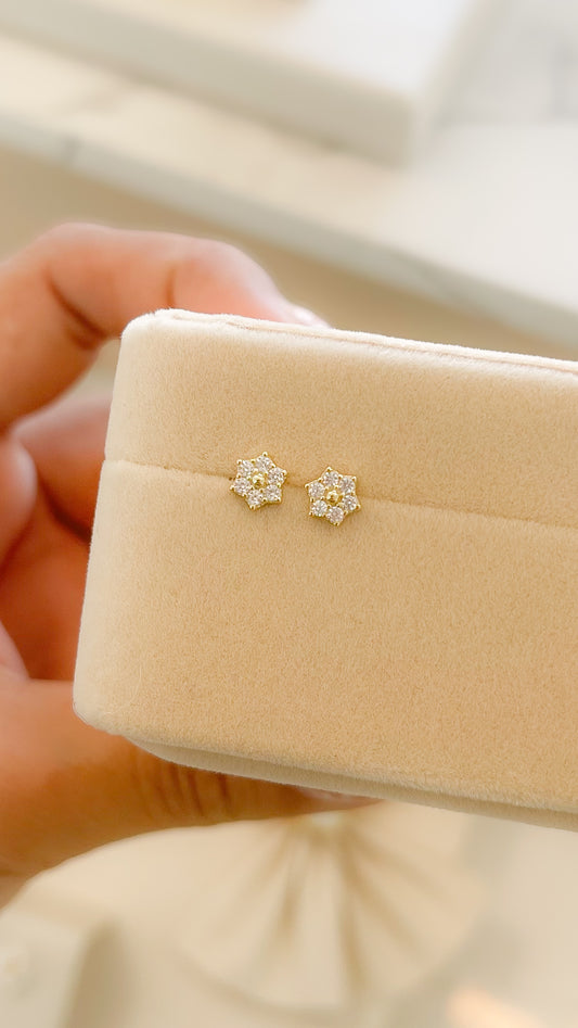 Aretes Victoria - AR113