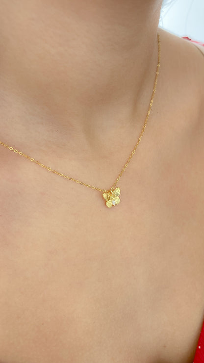 Collar Destello - PB042