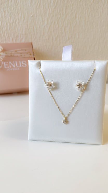 Conjunto